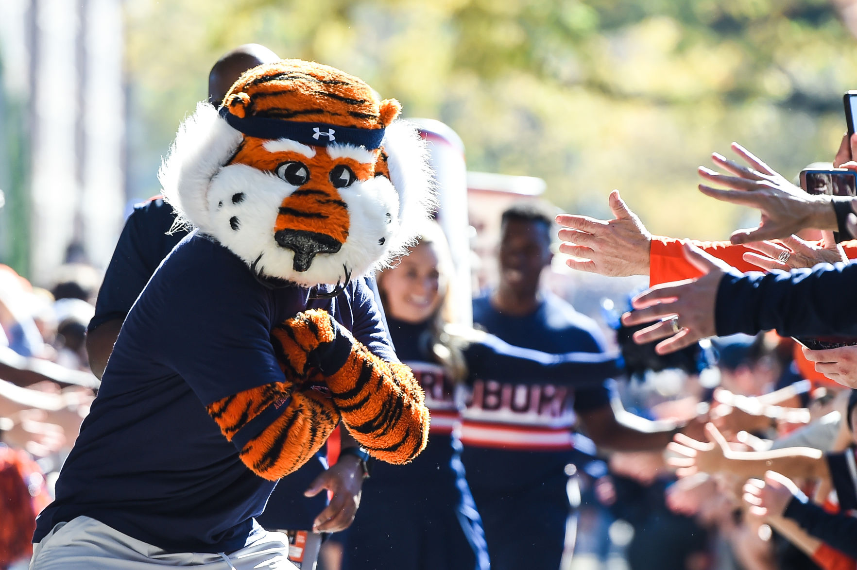 Georgia vs Auburn Football